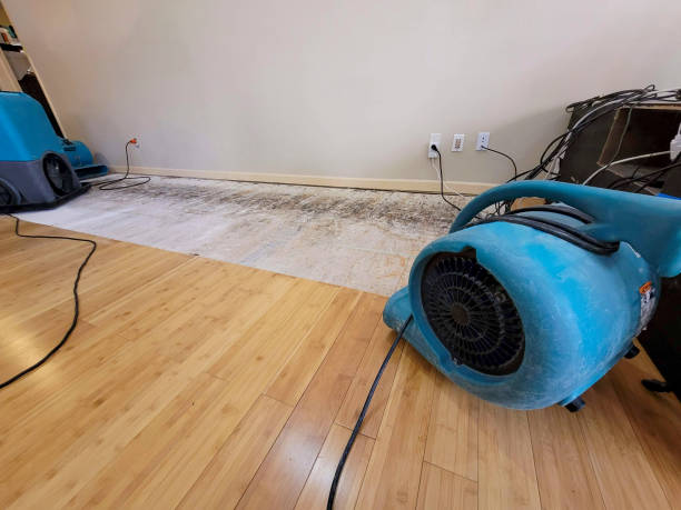 Professional Structural Drying technician working in Luttrell, TN